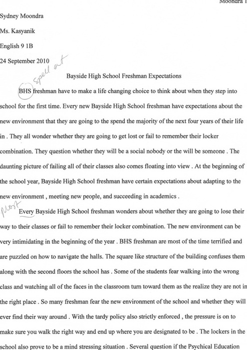 freshman year of high school essay